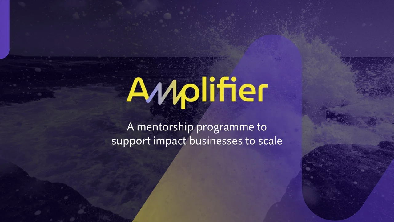 Amplifier Programme