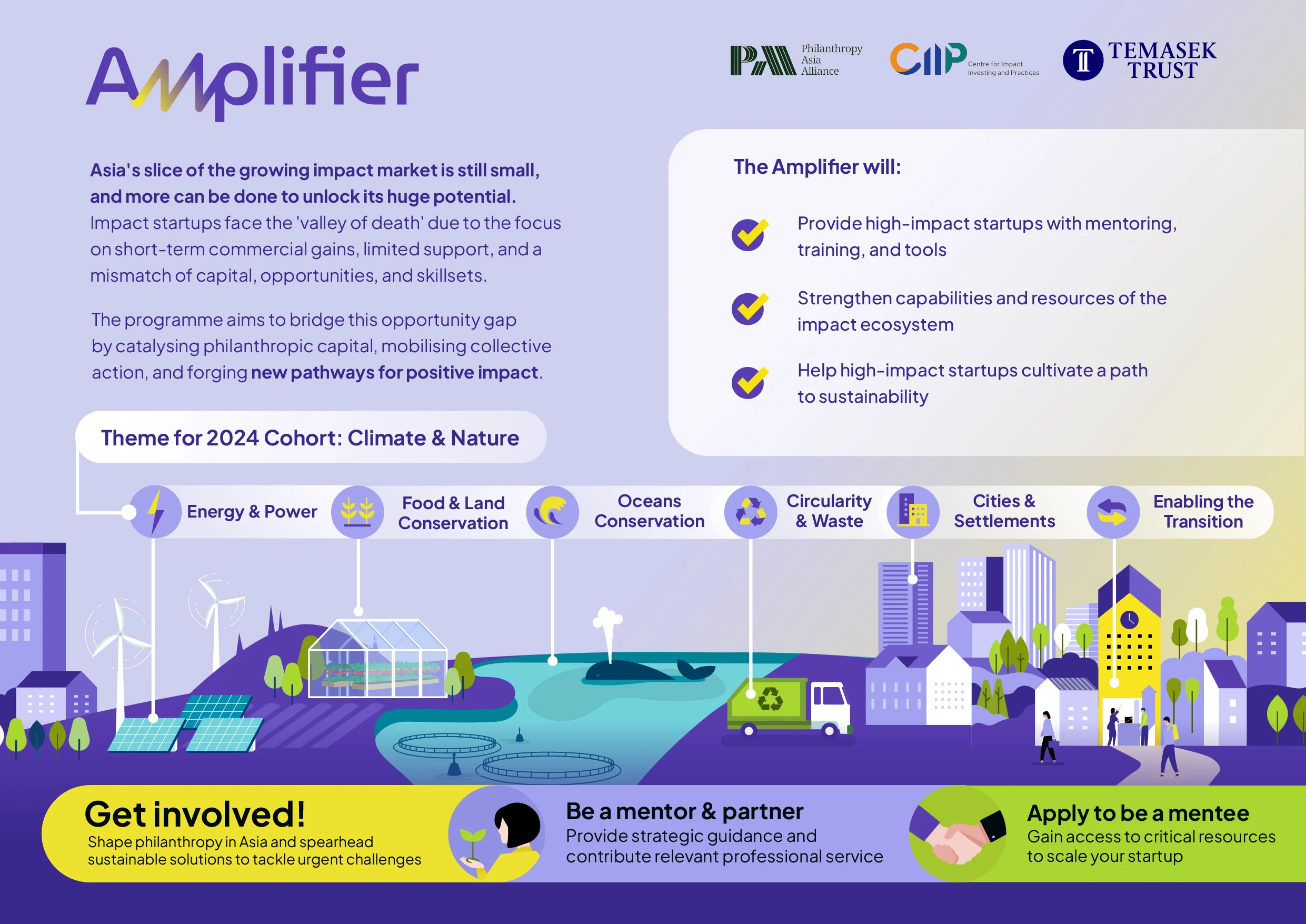 Amplifier Infographic