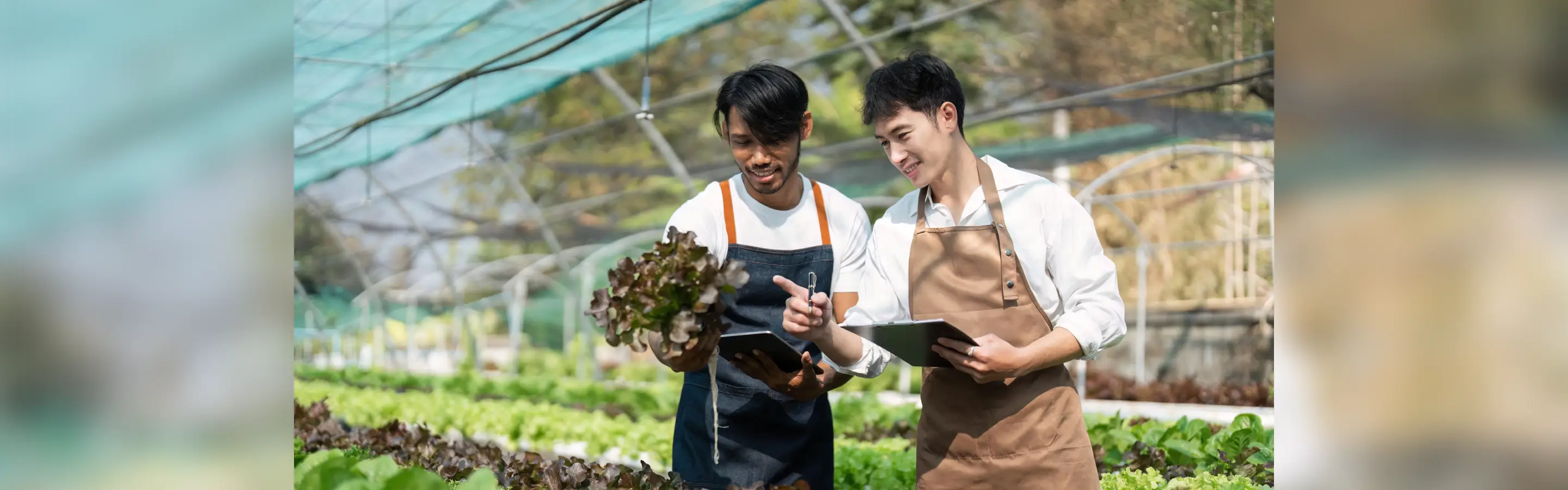 Digital Sustainability: Southeast Asia's Next Frontier for Impact and Innovation