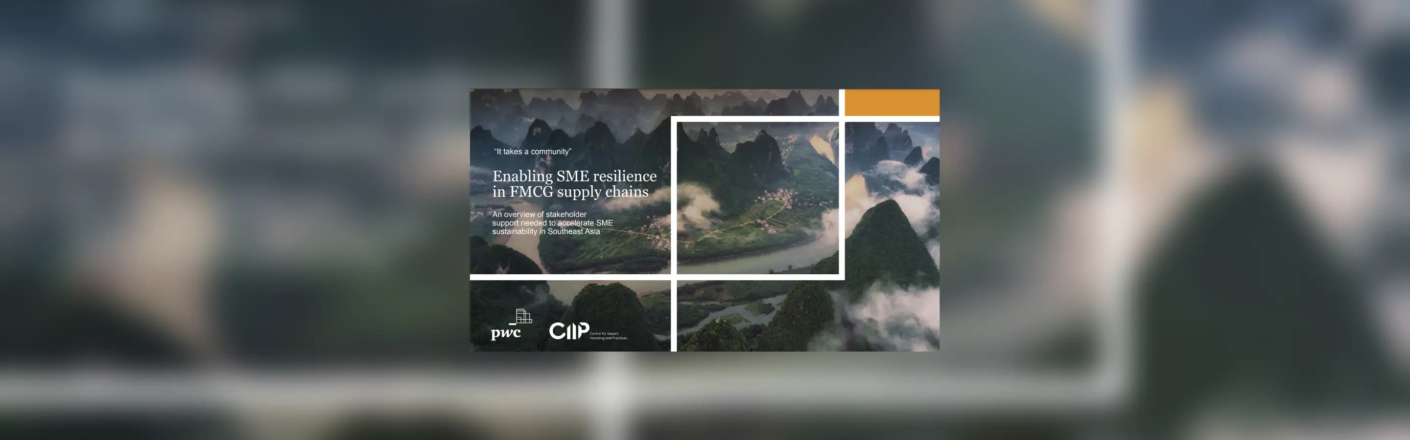 "It takes a community": Enabling SME resilience in FMCG supply chains