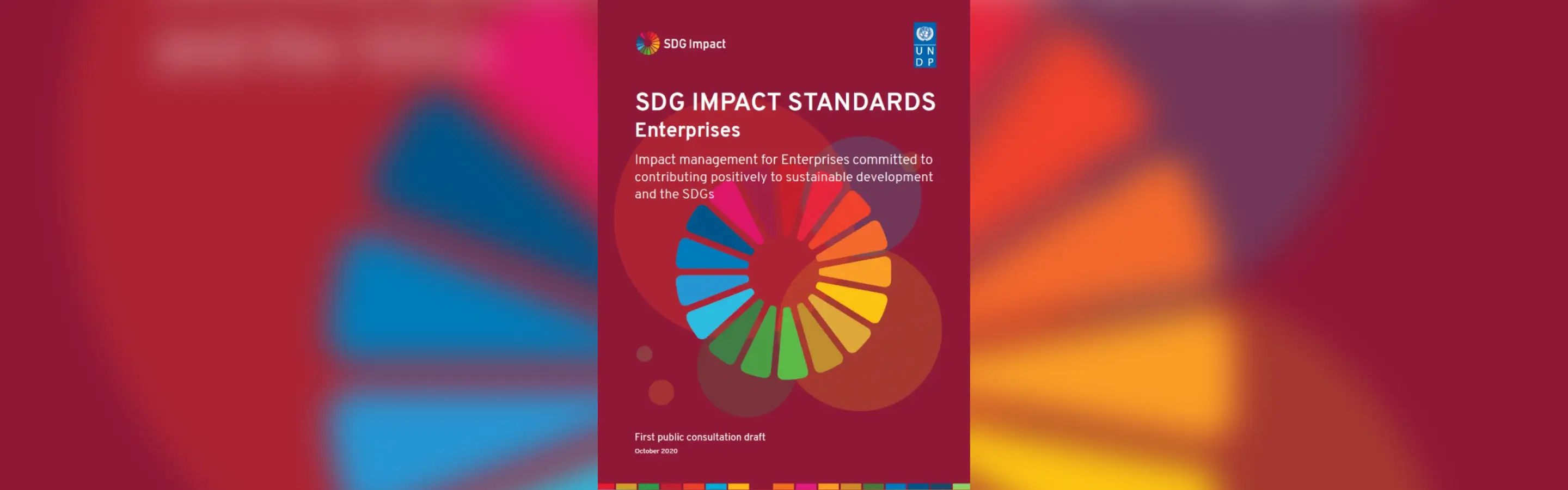 SDG Impact Standards For Enterprises Training Course