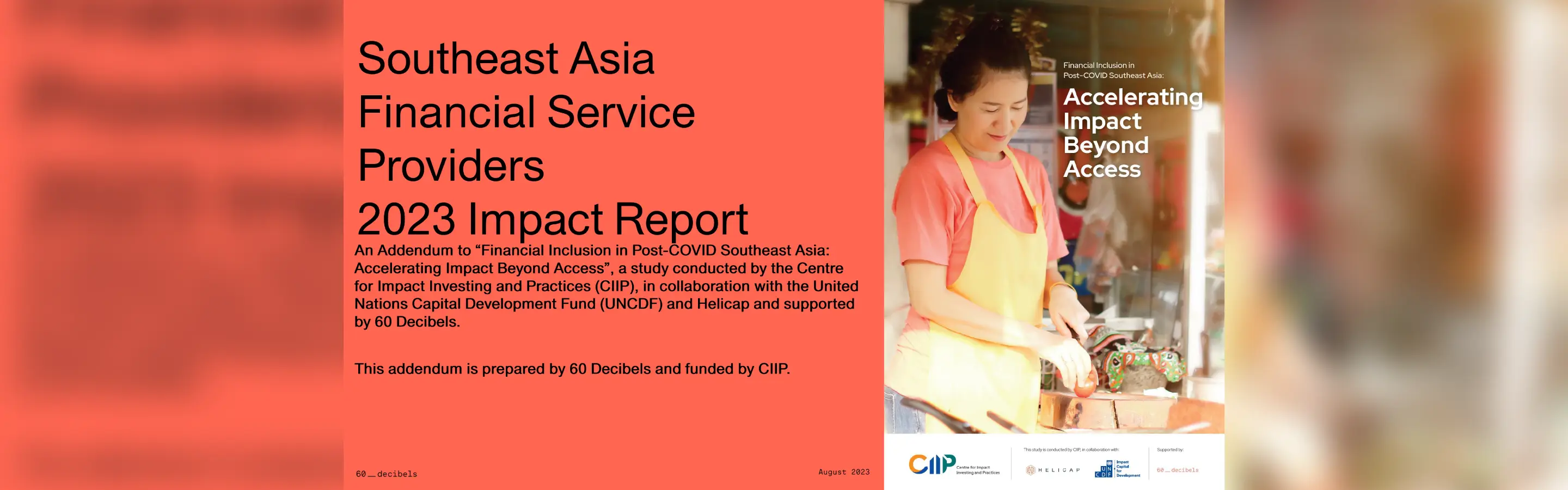 Southeast Asia Financial Service Providers 2023 Impact Report