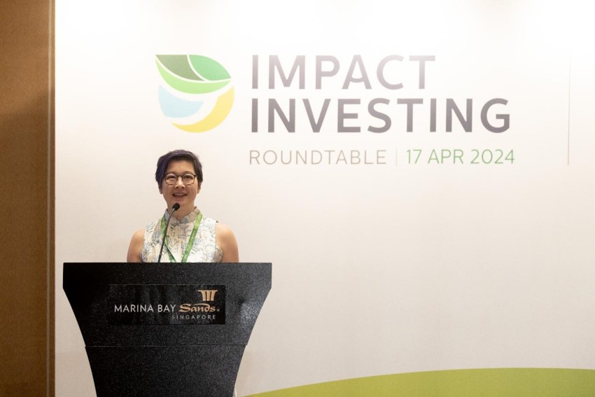 Impact Investing Roundtable 2024