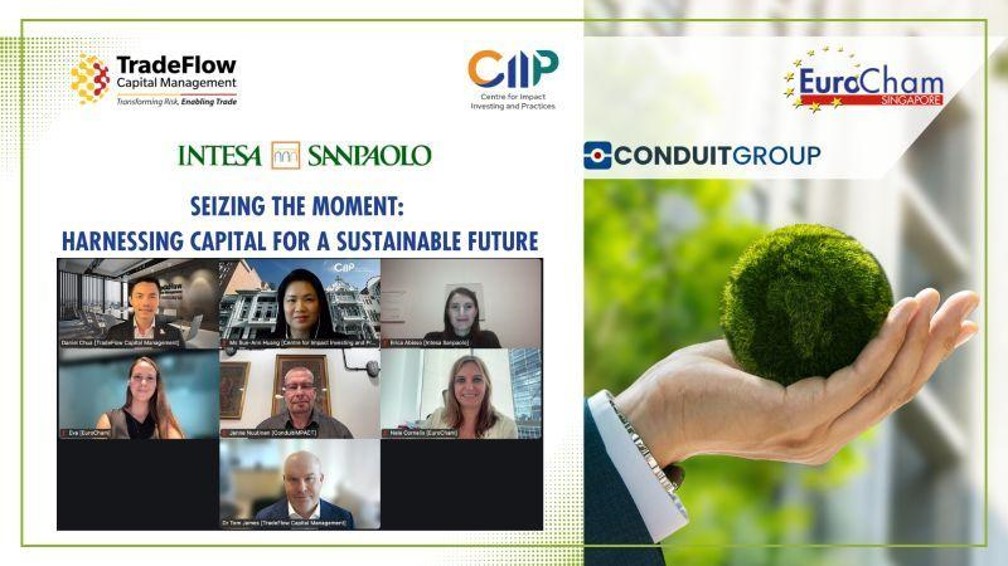 Harnessing Capital for a Sustainable Future